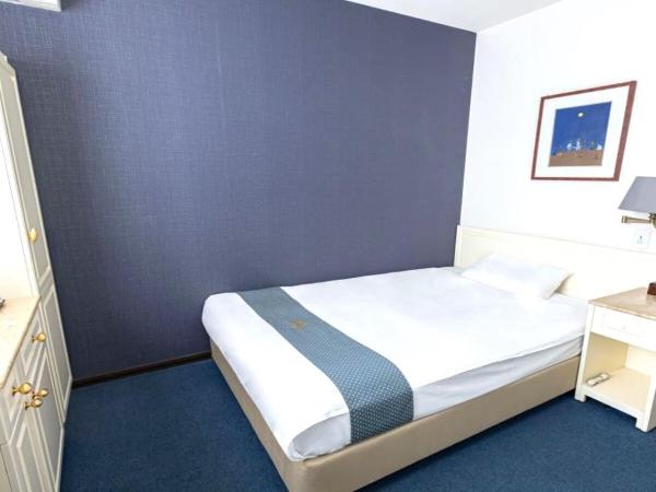 New Osaka Hotel Shinsaibashi : photo 2 de la chambre chambre double avec petit lit double - non-fumeurs