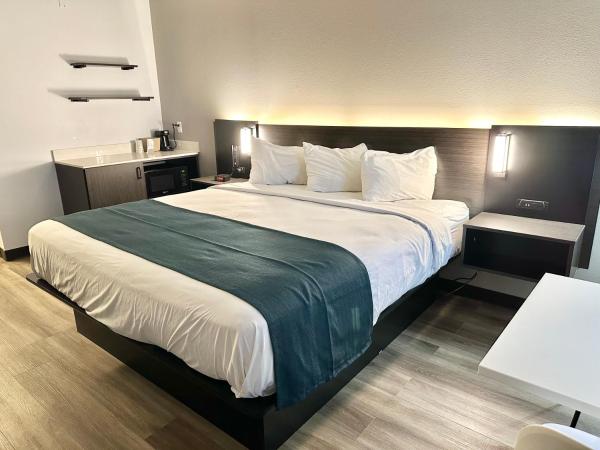 Studio 6 Suites Louisville KY Airport/Expo Center : photo 1 de la chambre chambre lit king-size avec douche à l'italienne - accessible aux personnes à mobilité réduite - non-fumeurs