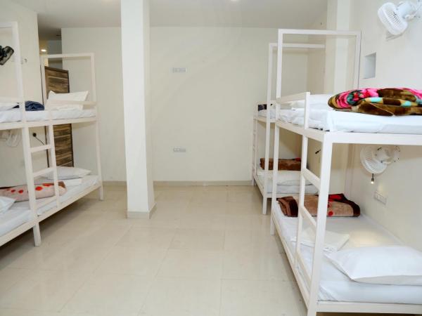 Charlie's Hostel By Purple India : photo 1 de la chambre lit simple dans dortoir à 6 lits
