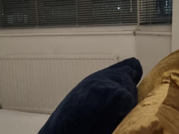 The Manor Guest House in Wembley : photo 2 de la chambre chambre double deluxe