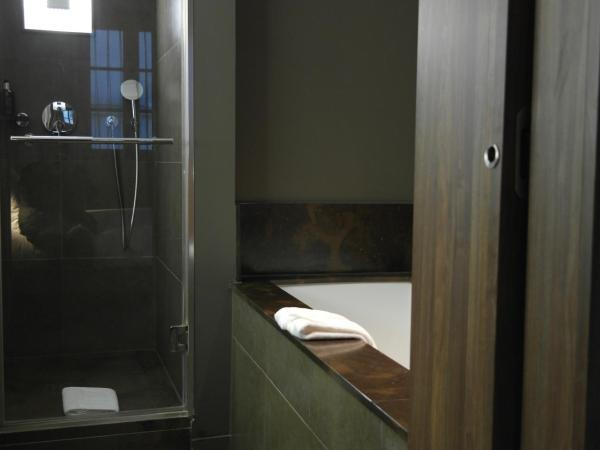 Hôtel Jules & Jim : photo 5 de la chambre suite en duplex