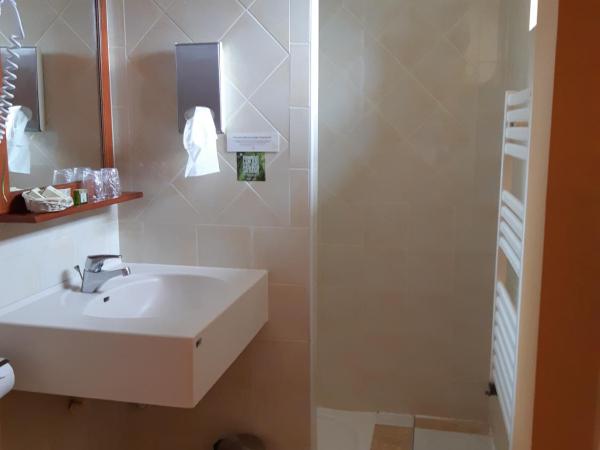 Logis Auberge Saint Simond : photo 2 de la chambre chambre lits jumeaux standard