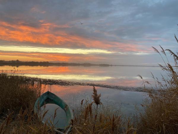 Hôtel Le Neptune en Camargue : photo 5 de la chambre chambre double – vue sur lac