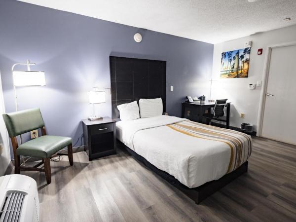 La Quinta Inn by Wyndham Tampa Near Busch Gardens : photo 2 de la chambre chambre double - accessible aux personnes à mobilité réduite - non-fumeurs