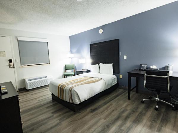 La Quinta Inn by Wyndham Tampa Near Busch Gardens : photo 4 de la chambre chambre double - accessible aux personnes à mobilité réduite - non-fumeurs