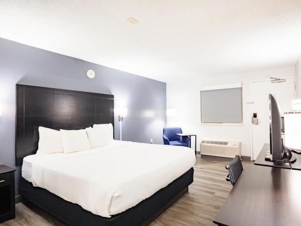 La Quinta Inn by Wyndham Tampa Near Busch Gardens : photo 7 de la chambre chambre lit king-size deluxe - non-fumeurs 
