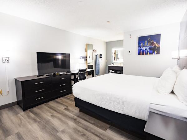 La Quinta Inn by Wyndham Tampa Near Busch Gardens : photo 8 de la chambre chambre lit king-size deluxe - non-fumeurs 