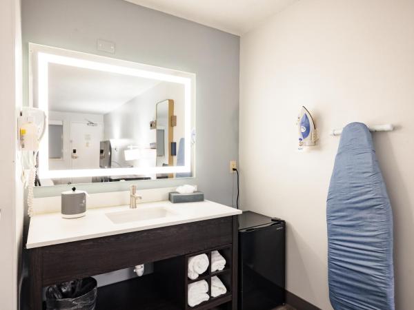 La Quinta Inn by Wyndham Tampa Near Busch Gardens : photo 9 de la chambre chambre double avec 2 lits doubles - non-fumeurs
