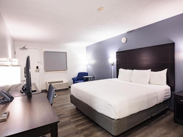 La Quinta Inn by Wyndham Tampa Near Busch Gardens : photo 9 de la chambre chambre lit king-size deluxe - non-fumeurs 