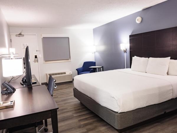La Quinta Inn by Wyndham Tampa Near Busch Gardens : photo 4 de la chambre chambre lit king-size deluxe - non-fumeurs 