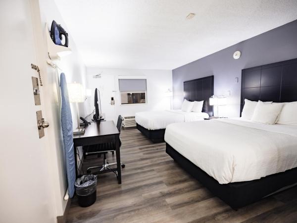 La Quinta Inn by Wyndham Tampa Near Busch Gardens : photo 10 de la chambre chambre double avec 2 lits doubles - non-fumeurs