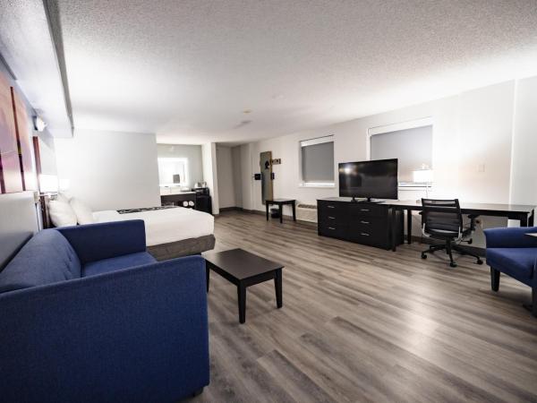 La Quinta Inn by Wyndham Tampa Near Busch Gardens : photo 6 de la chambre hébergement 1 chambre lit king-size - non-fumeurs