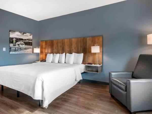 Extended Stay America Premier Suites - Tampa - Fairgrounds - Casino : photo 1 de la chambre studio lit king-size