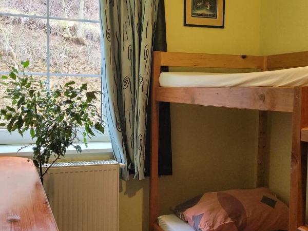 Pension Patanka : photo 3 de la chambre dortoir mixte de 10 lits