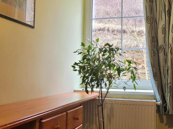 Pension Patanka : photo 4 de la chambre dortoir mixte de 10 lits