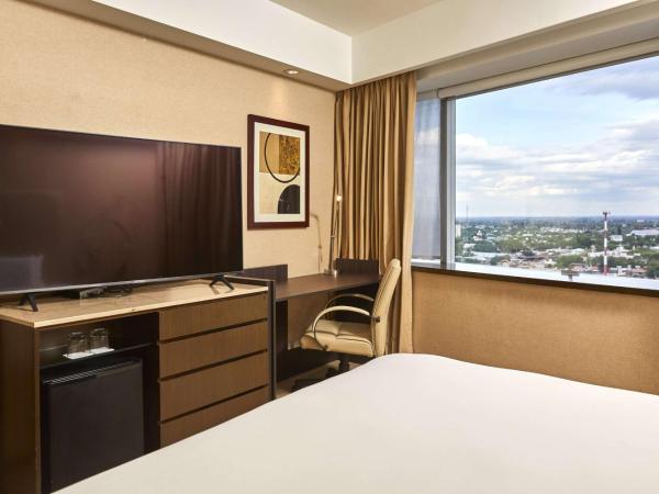 Hilton Mendoza : photo 2 de la chambre chambre lit king-size avec douche accessible en fauteuil roulant - adaptée aux personnes à mobilité réduite