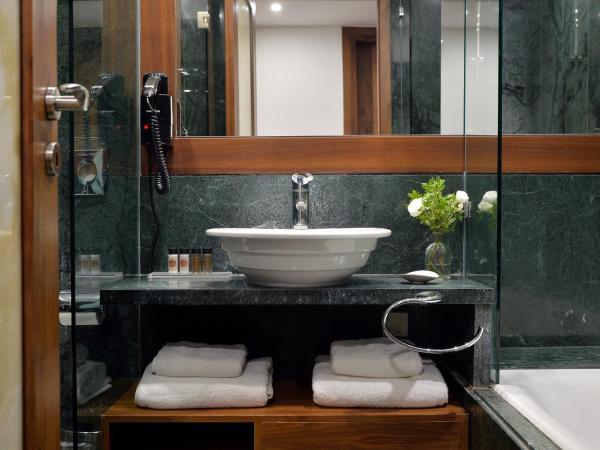 Athenaeum Eridanus Luxury Hotel : photo 3 de la chambre chambre deluxe