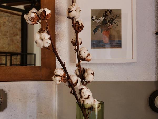 Not Hotel : photo 2 de la chambre suite daphné - vue sur acropole