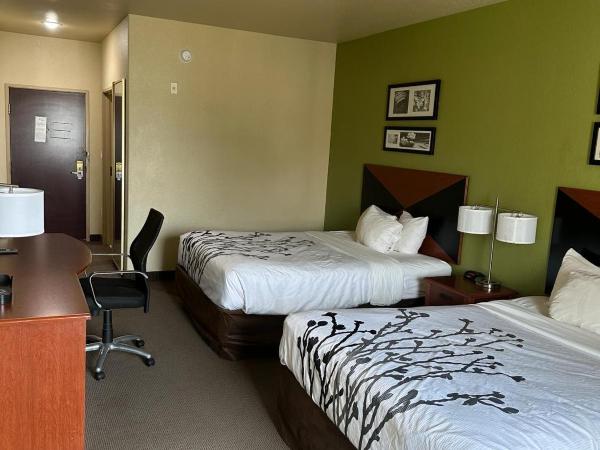 Sleep Inn & Suites at Six Flags : photo 3 de la chambre chambre avec 2 grands lits queen-size 