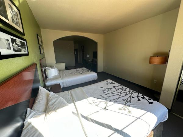 Sleep Inn & Suites at Six Flags : photo 1 de la chambre suite avec 2 lits queen-size et canapé-lit