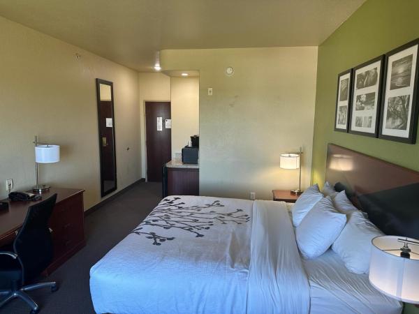 Sleep Inn & Suites at Six Flags : photo 1 de la chambre chambre lit king-size