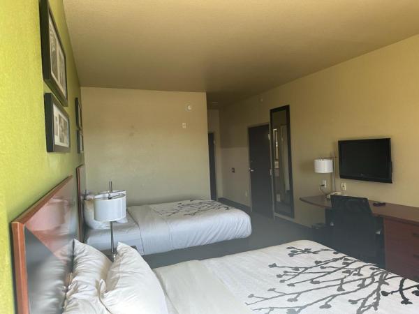 Sleep Inn & Suites at Six Flags : photo 5 de la chambre chambre avec 2 grands lits queen-size 