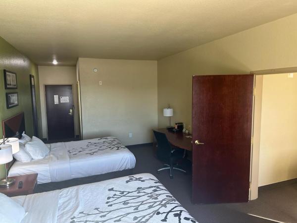 Sleep Inn & Suites at Six Flags : photo 2 de la chambre hébergement avec 3 lits queen-size