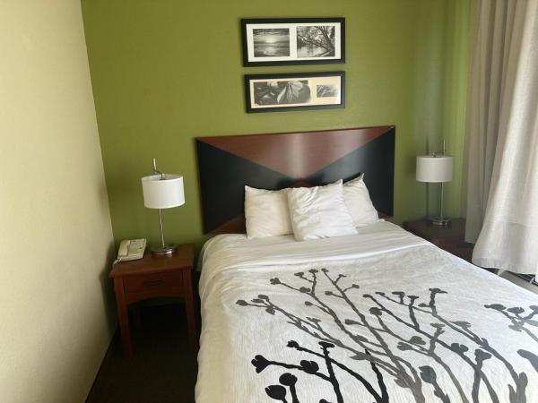 Sleep Inn & Suites at Six Flags : photo 4 de la chambre family room with three queen beds - accessible/non-smoking