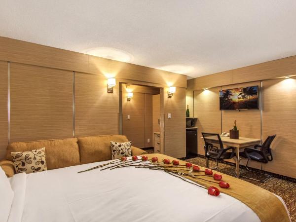 Ocean Beach Palace : photo 8 de la chambre suite 1 chambre (4 adultes)