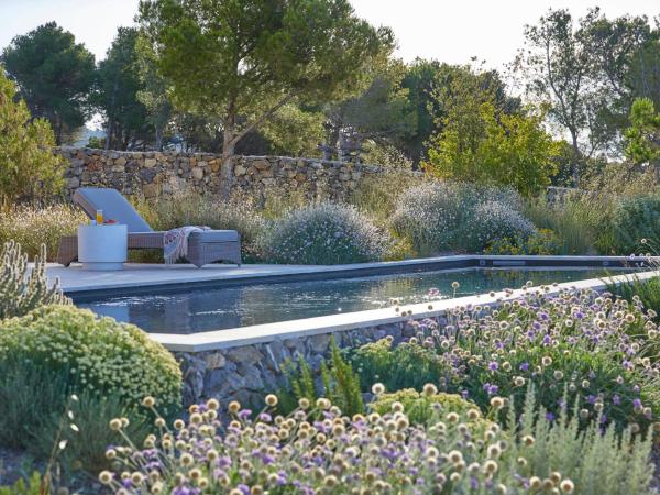 Château Capitoul : photo 1 de la chambre villa supérieure