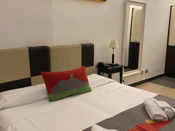 Hotel Plebiscito Aparthotel : photo 3 de la chambre chambre double standard