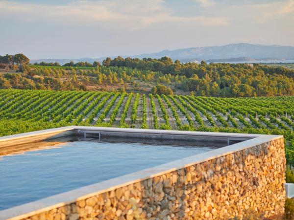 Château Capitoul : photo 6 de la chambre villa avec piscine privée