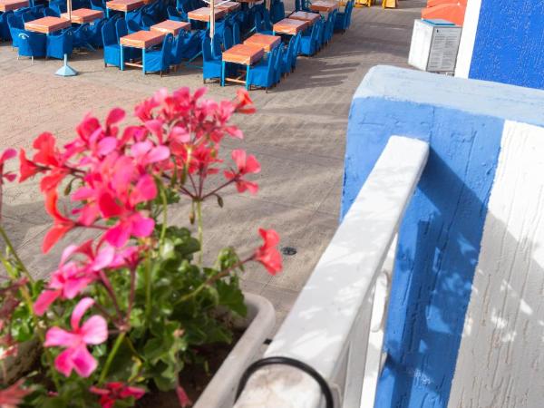Hotel Sindibad : photo 1 de la chambre chambre double supérieure