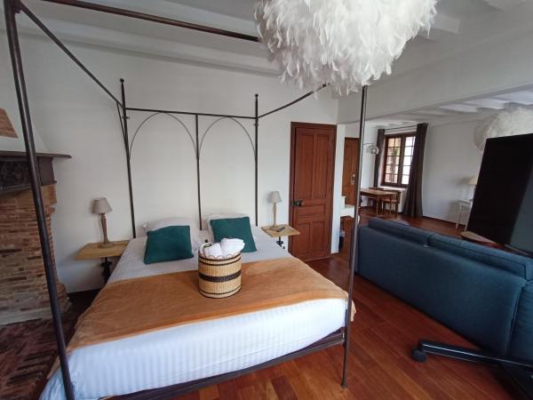 Hotel La Résidence Manoir De La Salamandre : photo 1 de la chambre suite avec terrasse 