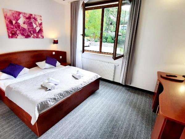 Malachit Karpacz SPA Hotel : photo 5 de la chambre studio