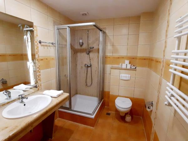 Malachit Karpacz SPA Hotel : photo 5 de la chambre appartement