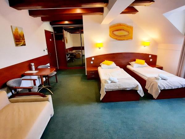 Malachit Karpacz SPA Hotel : photo 6 de la chambre appartement