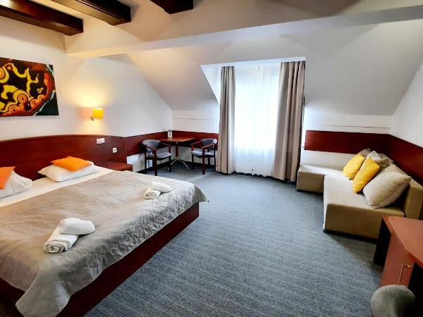 Malachit Karpacz SPA Hotel : photo 2 de la chambre appartement