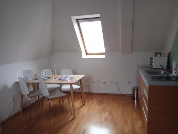 Retro Hotel Villa Ostrava : photo 4 de la chambre appartement 1 chambre