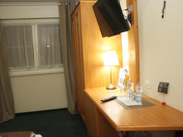 Grichting Hotel & Serviced Apartments : photo 10 de la chambre chambre simple