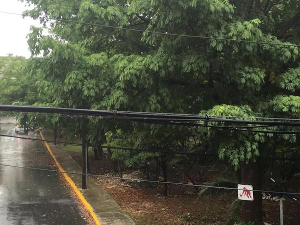 Cancun Hostel : photo 5 de la chambre lit dans dortoir pour femmes de 4 lits
