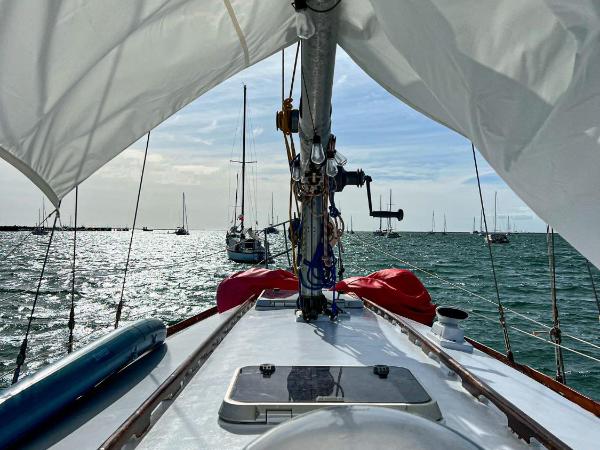 Alpha - Boat House : photo 10 de la chambre mobile home