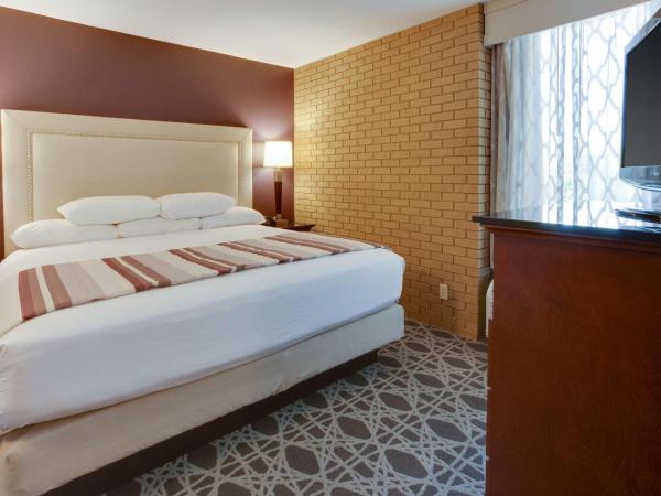 Drury Inn & Suites Louisville East : photo 2 de la chambre suite lit king-size avec canapé-lit