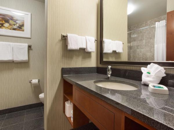 Drury Plaza Hotel Indianapolis Carmel : photo 5 de la chambre suite lit king-size