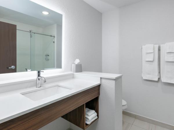 Holiday Inn Express - San Antonio East I-10 , an IHG Hotel : photo 1 de la chambre suite lit king-size