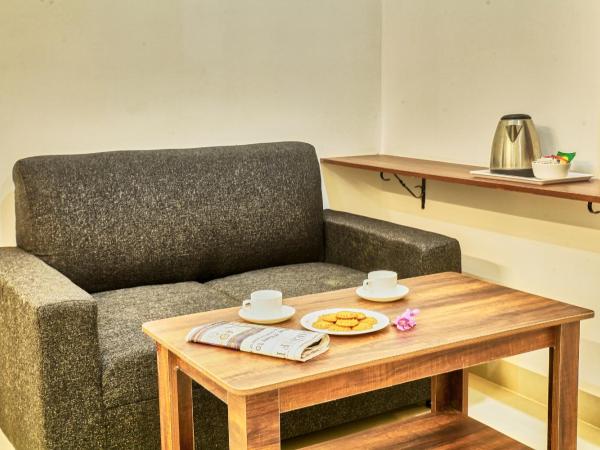 HOTEL VISA INN NEAR KEMPEGOWDA AIRPORT : photo 5 de la chambre chambre double standard