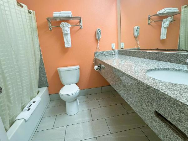 Pecan Valley Inn & Suites : photo 1 de la chambre chambre double