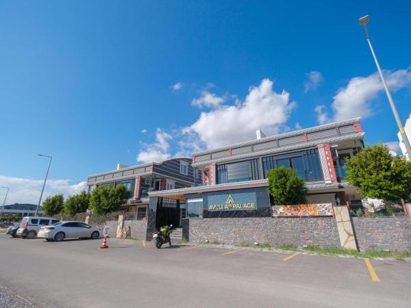 Avullar Palace Hotel : photo 8 de la chambre appartement standard