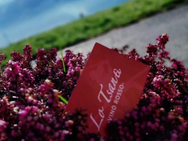 lo Tsanty : photo 1 de la chambre chambre double ou lits jumeaux