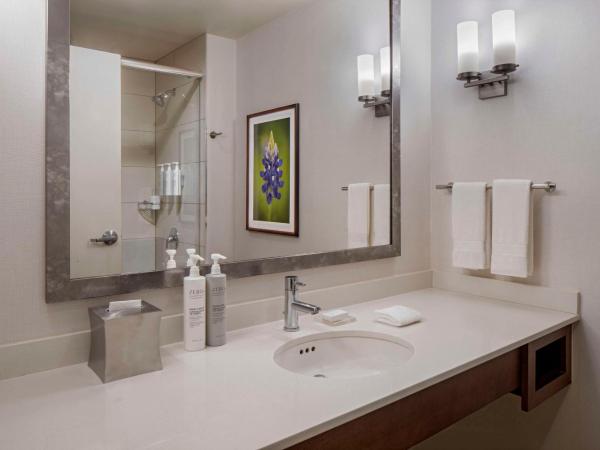 Hilton Garden Inn Downtown Dallas : photo 2 de la chambre chambre lit king-size